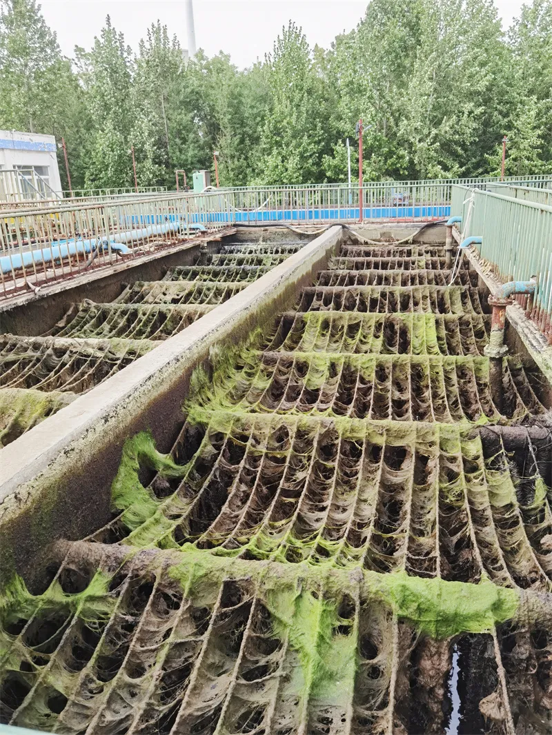 洛阳轴承控股有限公司废水处理站生化池（B、C池）曝气管道大修改造项目